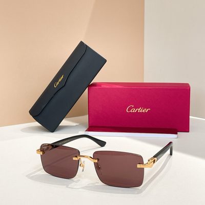 Cartier Sunglasses — 5