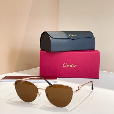 Cartier Sunglasses — 7