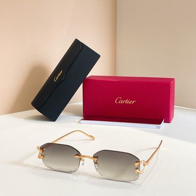 Cartier Sunglasses — 7