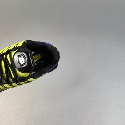 Nike Air Max Plus trainers — 8