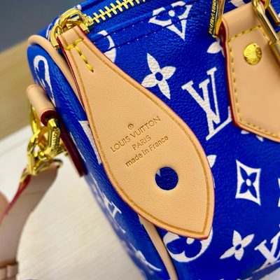 Louis Vuitton Bag — 5