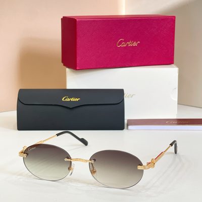 Cartier Sunglasses — 6