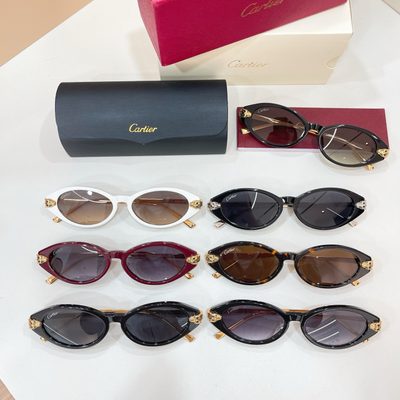 Cartier Sunglasses — 8