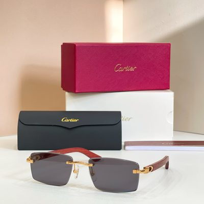 Cartier Sunglasses — 4
