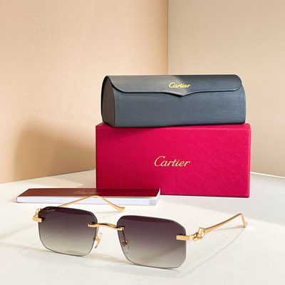 Cartier Sunglasses — 7