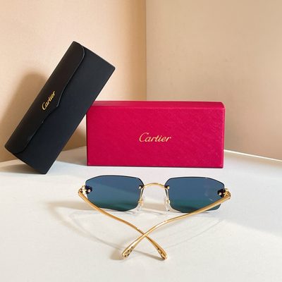 Cartier Sunglasses — 4