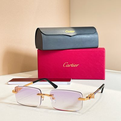 Cartier Sunglasses — 5