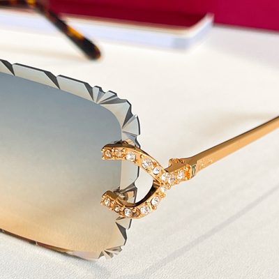 Cartier Sunglasses — 9