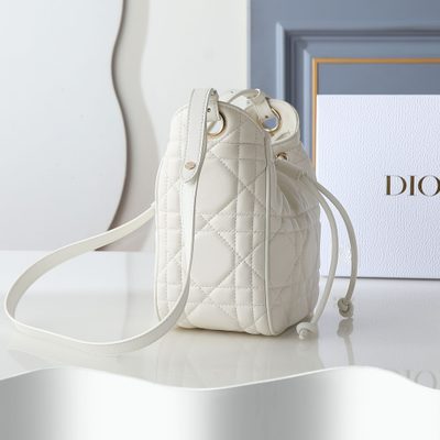 Dior Bag — 4