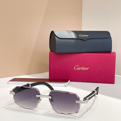 Cartier Sunglasses — 6