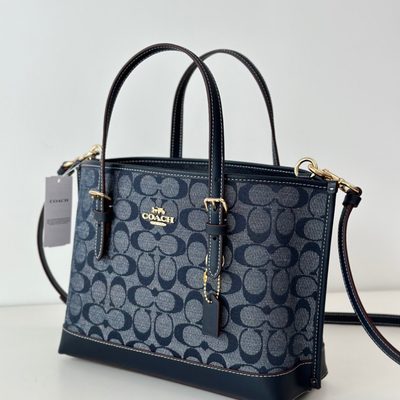 Coach Bag — 4
