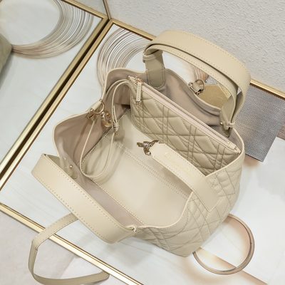 Dior Bag — 9