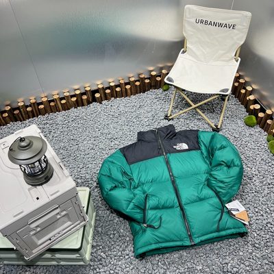 The North Face 1996 Retro Nuptse Puffer Jacket — 9