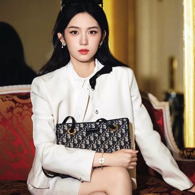 Dior Bag — 7
