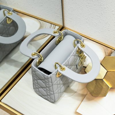 Dior Bag — 5