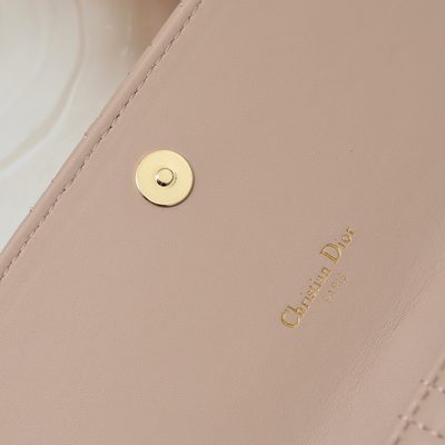 Dior Bag — 9