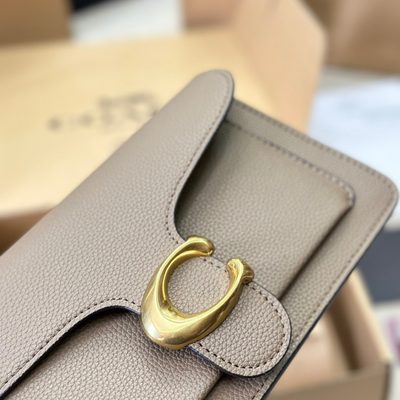 Coach Bag — 4