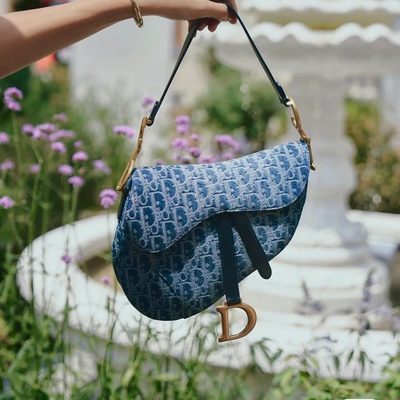 Dior Bag — 7