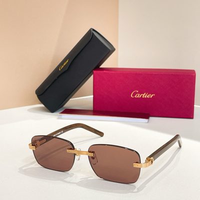 Cartier Sunglasses — 5
