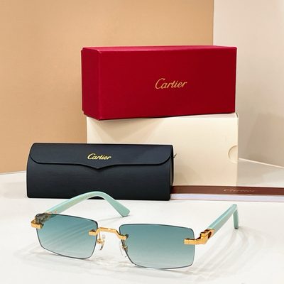 Cartier Sunglasses — 5