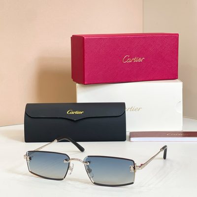 Cartier Sunglasses — 6