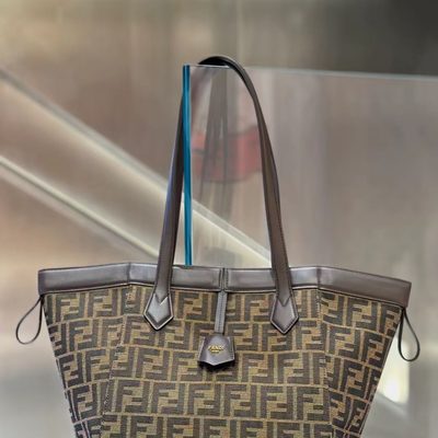 Fendi Bag — 9