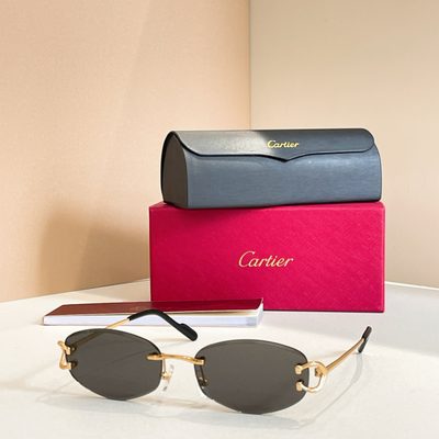 Cartier Sunglasses — 4