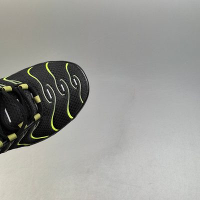 Nike Air Max Plus trainers — 7