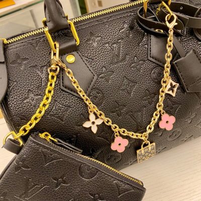 Louis Vuitton Bag — 4