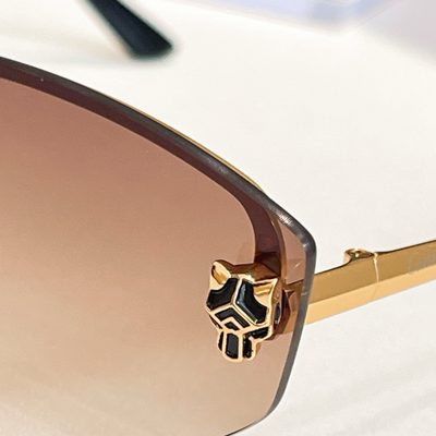 Cartier Sunglasses — 6