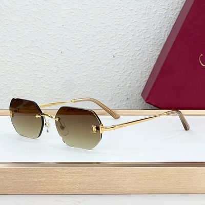 Cartier Sunglasses — 8