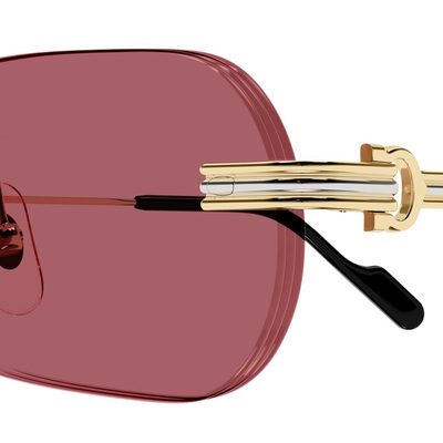 Cartier Sunglasses — 8