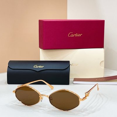 Cartier Sunglasses — 5