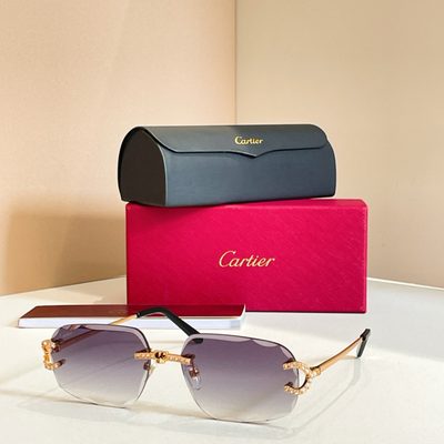 Cartier Sunglasses — 5