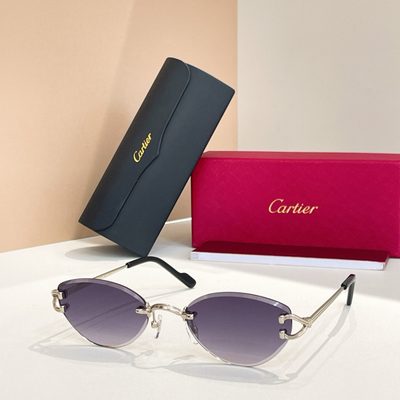 Cartier Sunglasses — 5