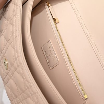 Dior Bag — 8