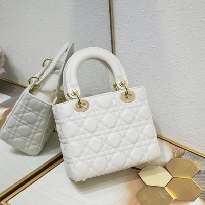 Dior Bag — 5