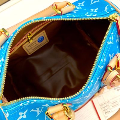 Louis Vuitton Bag — 9