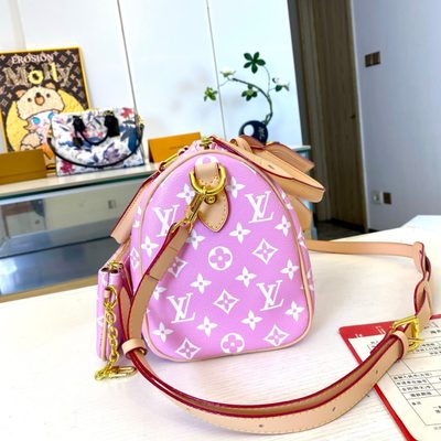 Louis Vuitton Bag — 7