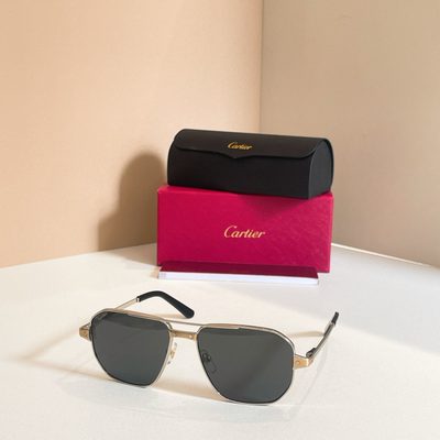 Cartier Sunglasses — 6