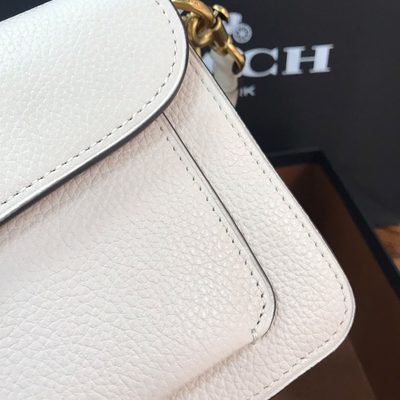 Coach Bag — 5