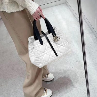 Dior Bag — 8