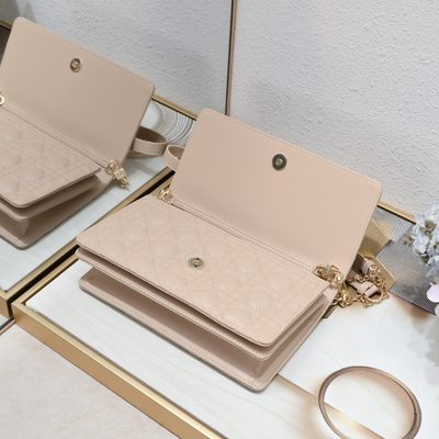 Dior Bag — 7