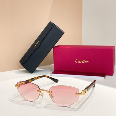 Cartier Sunglasses — 6