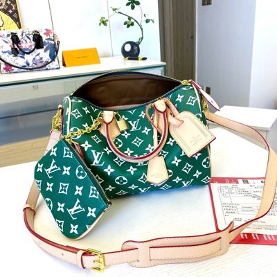 Louis Vuitton Bag — 8