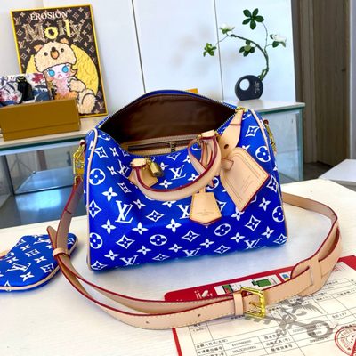 Louis Vuitton Bag — 7