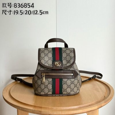 Gucci Bag
