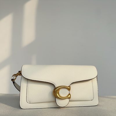 Coach Bag — 31