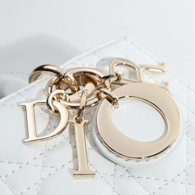 Dior Bag — 5