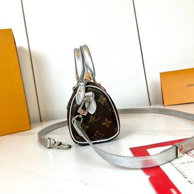 Louis Vuitton Bag — 5
